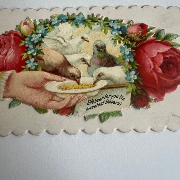 1880s Victorian calling cards - Picture 2 of 9